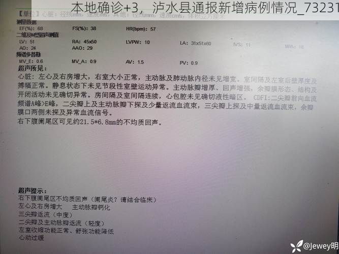 本地确诊+3,泸水县通报新增病例情况_73231
