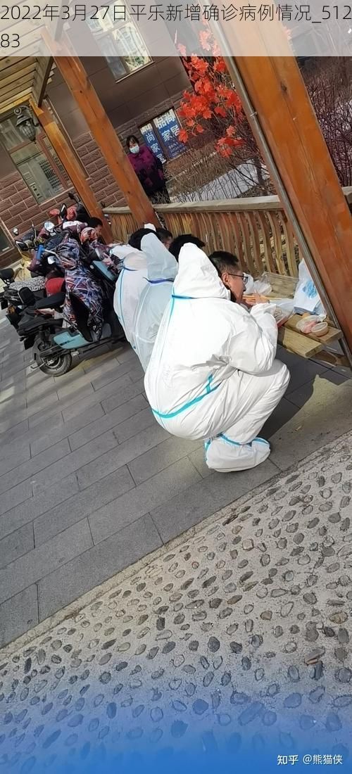 2022年3月27日平乐新增确诊病例情况_51283
