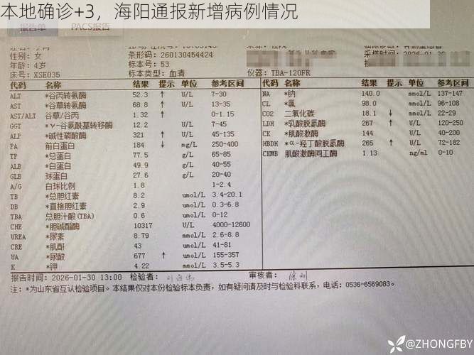 本地确诊+3,海阳通报新增病例情况