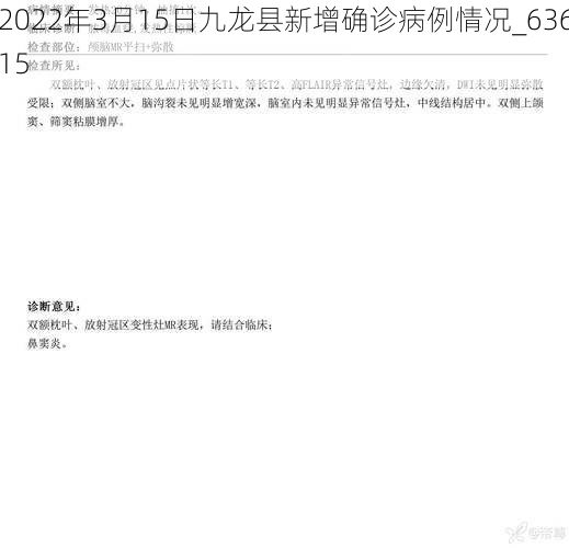 2022年3月15日九龙县新增确诊病例情况_63615