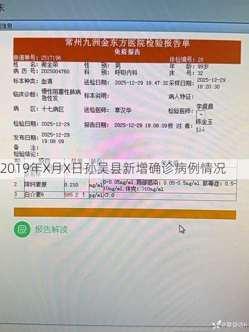 2019年X月X日孙吴县新增确诊病例情况