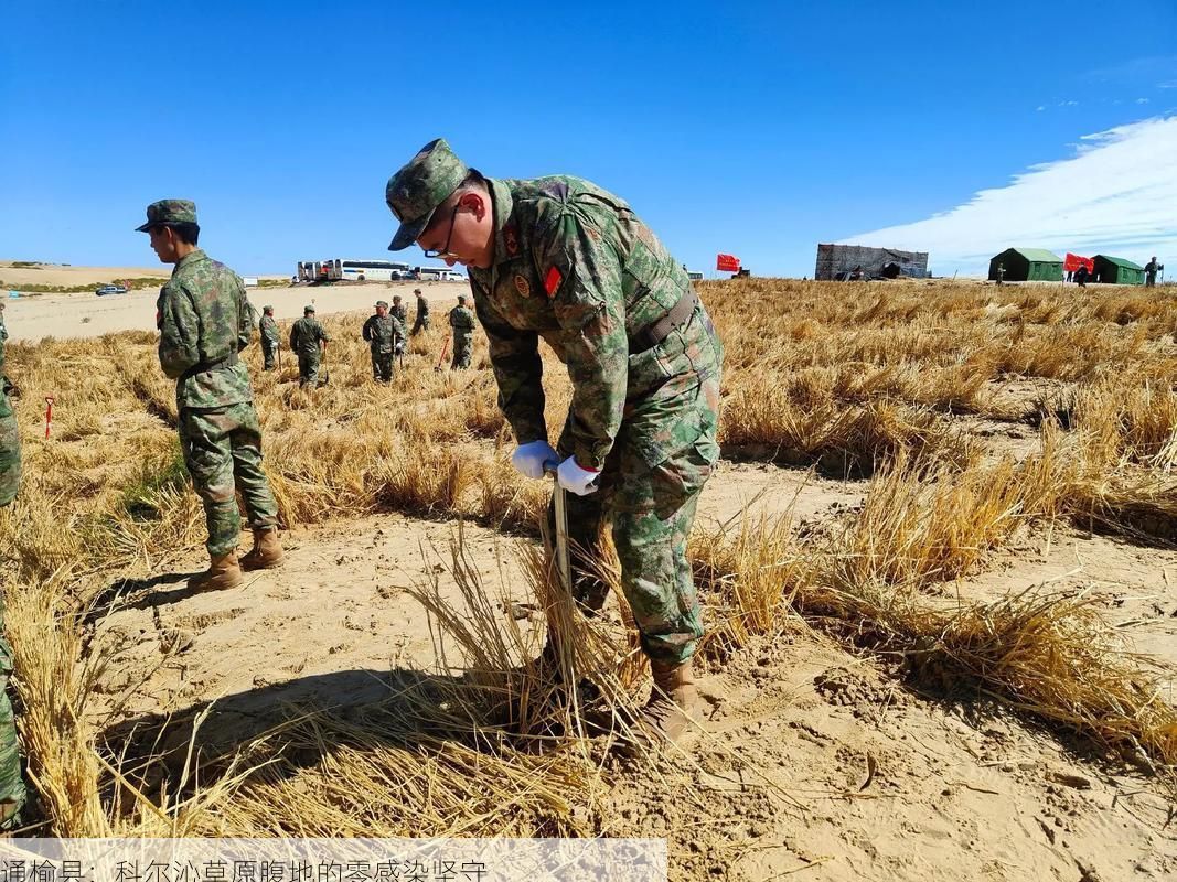 通榆县:科尔沁草原腹地的零感染坚守