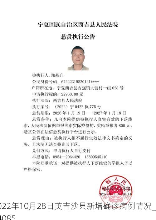 2022年10月28日英吉沙县新增确诊病例情况_44085
