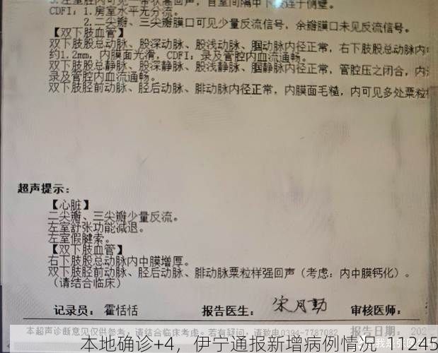 本地确诊+4,伊宁通报新增病例情况_11245