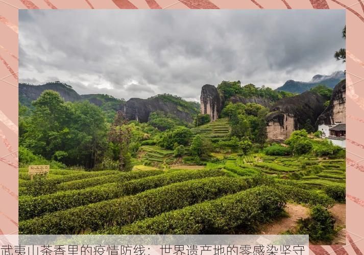 武夷山茶香里的疫情防线:世界遗产地的零感染坚守
