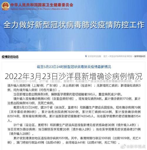2022年3月23日沙洋县新增确诊病例情况