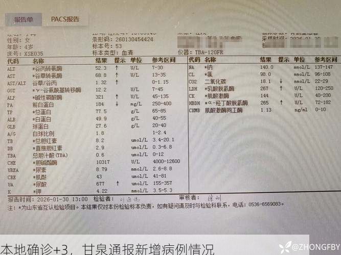 本地确诊+3,甘泉通报新增病例情况