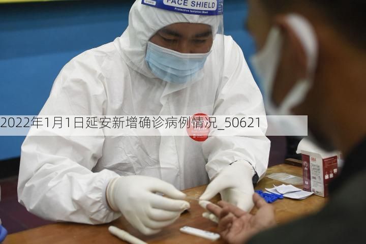 2022年1月1日延安新增确诊病例情况_50621
