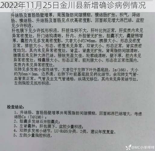 2022年11月25日金川县新增确诊病例情况