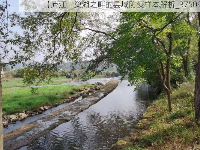 【庐江：巢湖之畔的县域防疫样本解析_37509】