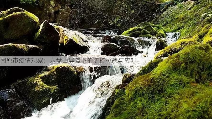 固原市疫情观察：六盘山屏障下的防控挑战与应对