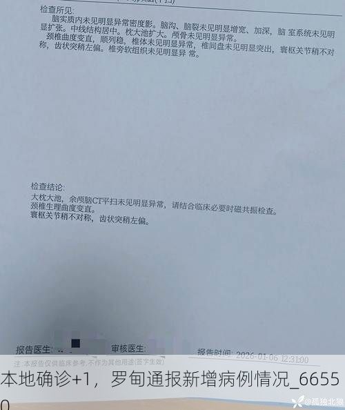 本地确诊+1,罗甸通报新增病例情况_66550