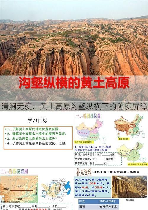 清涧无疫：黄土高原沟壑纵横下的防疫屏障