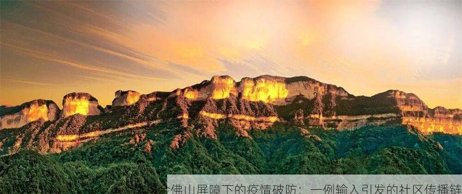 南川金佛山屏障下的疫情破防:一例输入引发的社区传播链