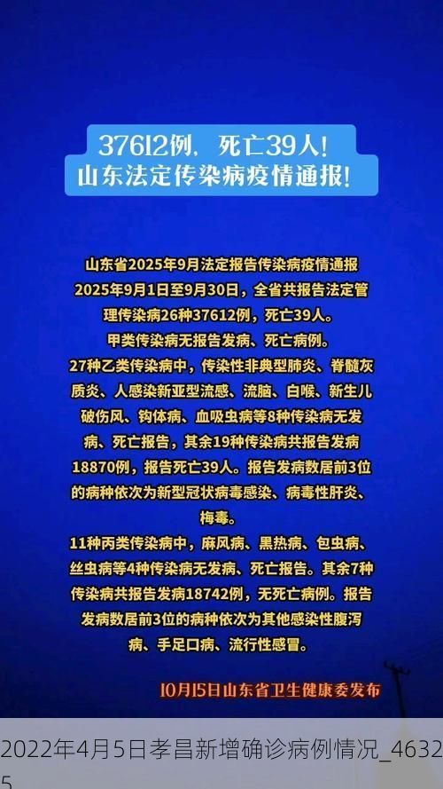 2022年4月5日孝昌新增确诊病例情况_46325