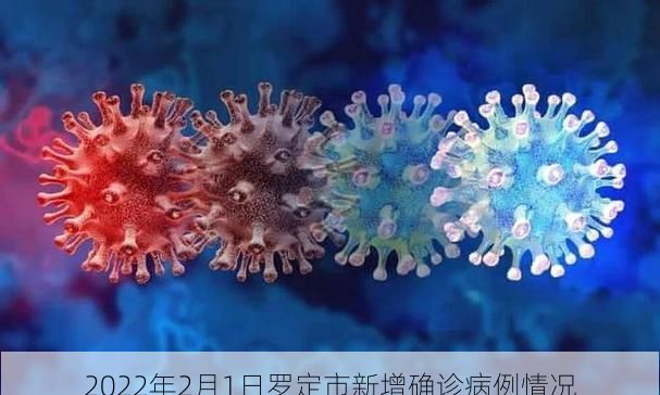 2022年2月1日罗定市新增确诊病例情况