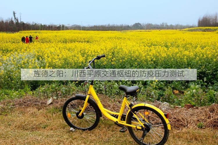 旌德之阳:川西平原交通枢纽的防疫压力测试