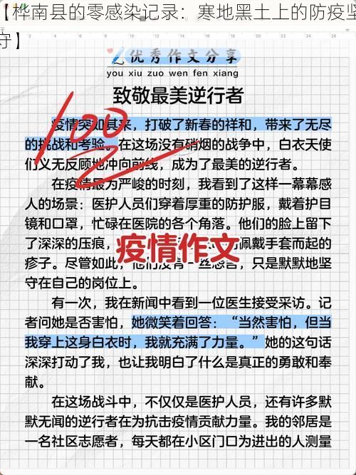 【桦南县的零感染记录:寒地黑土上的防疫坚守】