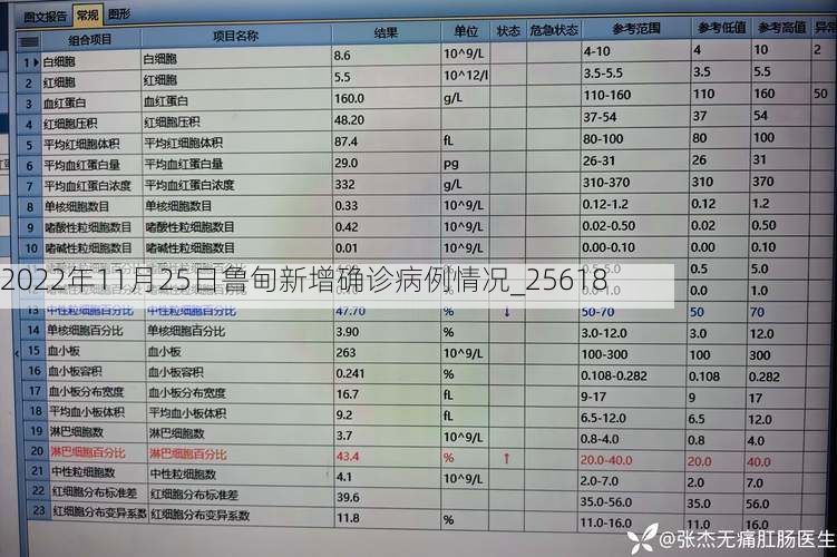 2022年11月25日鲁甸新增确诊病例情况_25618