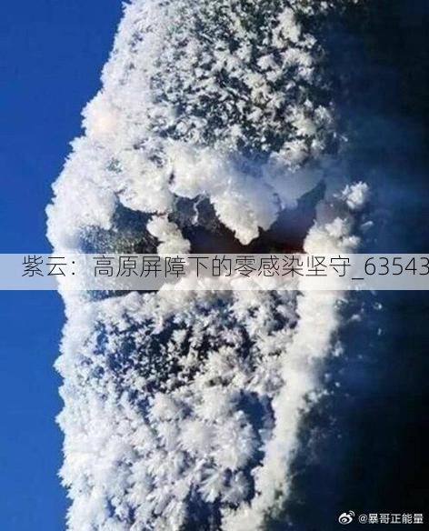 紫云:高原屏障下的零感染坚守_63543
