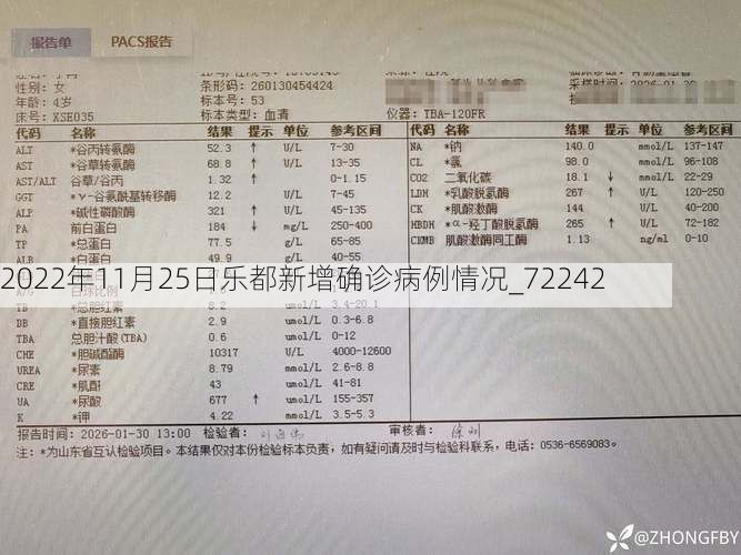 2022年11月25日乐都新增确诊病例情况_72242