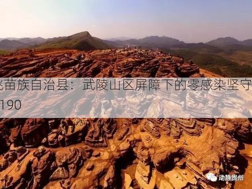 松桃苗族自治县:武陵山区屏障下的零感染坚守_59190