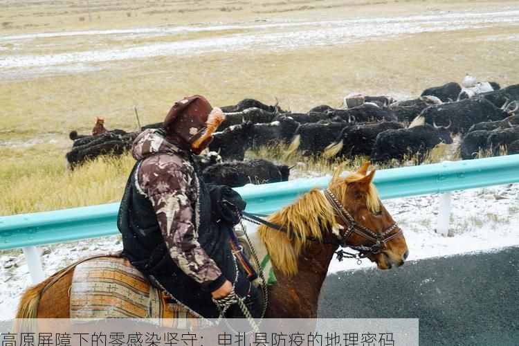 高原屏障下的零感染坚守：申扎县防疫的地理密码