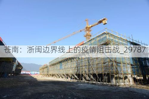 苍南：浙闽边界线上的疫情阻击战_29787