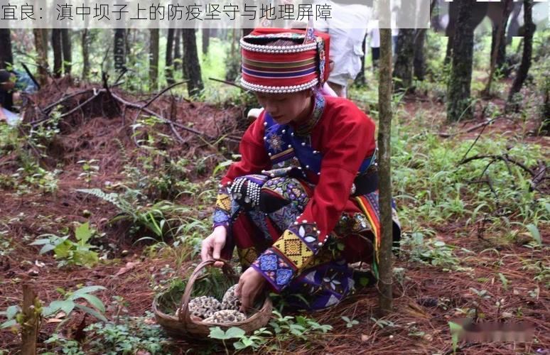 宜良：滇中坝子上的防疫坚守与地理屏障